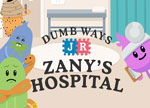 Zany's Hospital